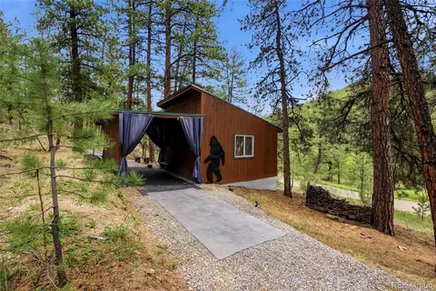 Other - 102 Insmont Dr, Bailey, CO 80421 photo 9 of 13