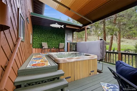 Other - 102 Insmont Dr, Bailey, CO 80421 photo 8 of 13