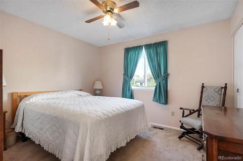 4046 E 113th Pl, Thornton, CO 80233 photo 20
