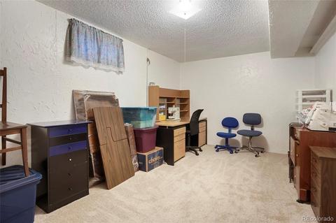 4046 E 113th Pl, Thornton, CO 80233 photo 22