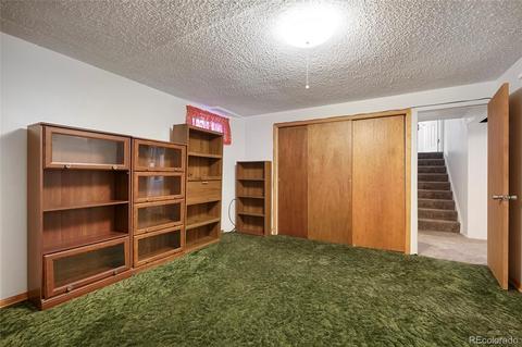 4046 E 113th Pl, Thornton, CO 80233 photo 21