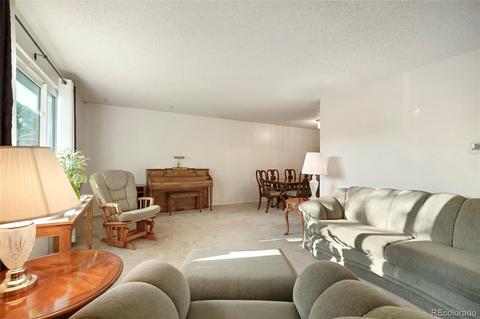 4046 E 113th Pl, Thornton, CO 80233 photo 4