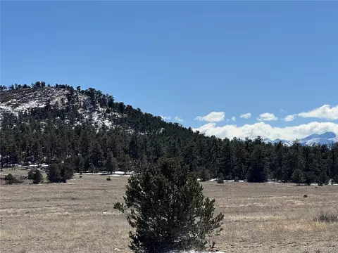 L Path, Cotopaxi, CO 81223 photo 8