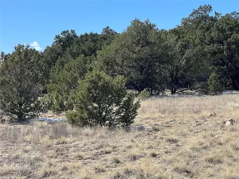 L Path, Cotopaxi, CO 81223 photo 10
