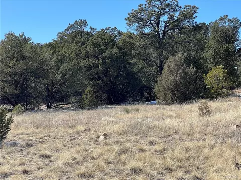 L Path, Cotopaxi, CO 81223 photo 9