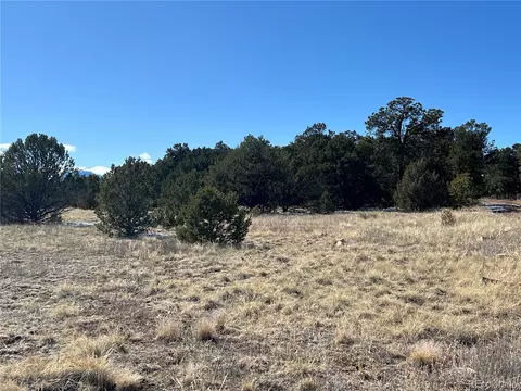 L Path, Cotopaxi, CO 81223 photo 14