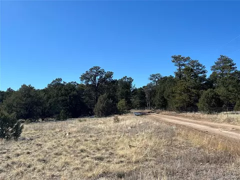 L Path, Cotopaxi, CO 81223 photo 16