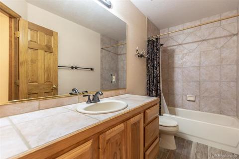 62676 Us Highway 285, Bailey, CO 80421 photo 21