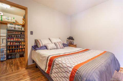62676 Us Highway 285, Bailey, CO 80421 photo 22