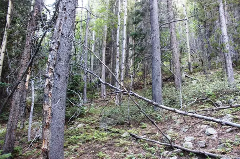 00 Gamble Gulch, Black Hawk, CO 80422 photo 19