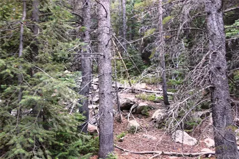 00 Gamble Gulch, Black Hawk, CO 80422 photo 3
