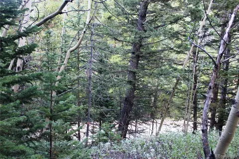 00 Gamble Gulch, Black Hawk, CO 80422 photo 4
