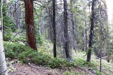 00 Gamble Gulch, Black Hawk, CO 80422 photo 16