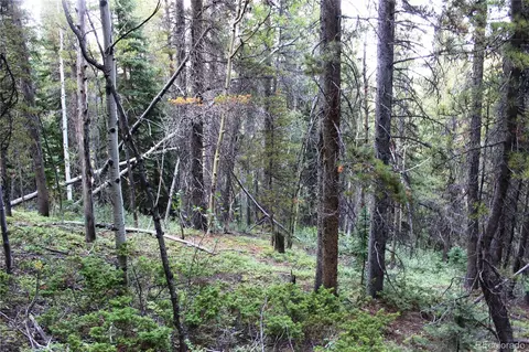 00 Gamble Gulch, Black Hawk, CO 80422 photo 17
