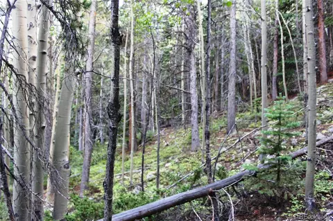 00 Gamble Gulch, Black Hawk, CO 80422 photo 15