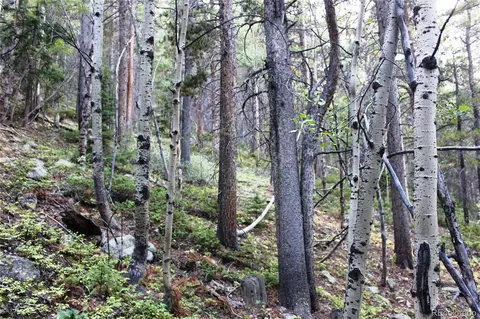 00 Gamble Gulch, Black Hawk, CO 80422 photo 12