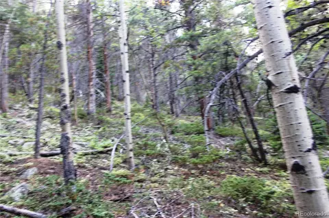 00 Gamble Gulch, Black Hawk, CO 80422 photo 18