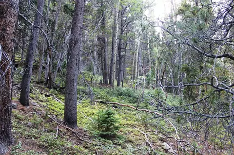 00 Gamble Gulch, Black Hawk, CO 80422 photo 11