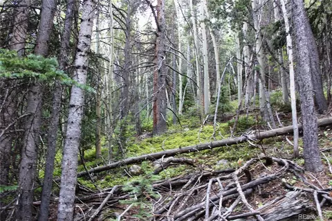 00 Gamble Gulch, Black Hawk, CO 80422 photo 10