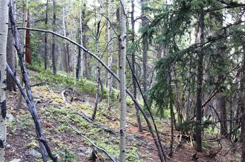 00 Gamble Gulch, Black Hawk, CO 80422 photo 13