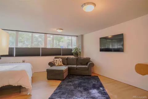 1196 N Grant St #113, Denver, CO 80203