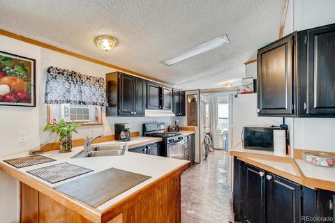 3320 E 84th Dr, Denver, CO 80229 photo 5
