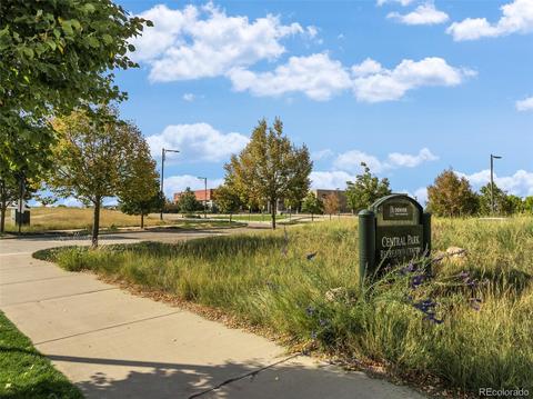 9141 E 29th Ave, Denver, CO 80238 photo 28