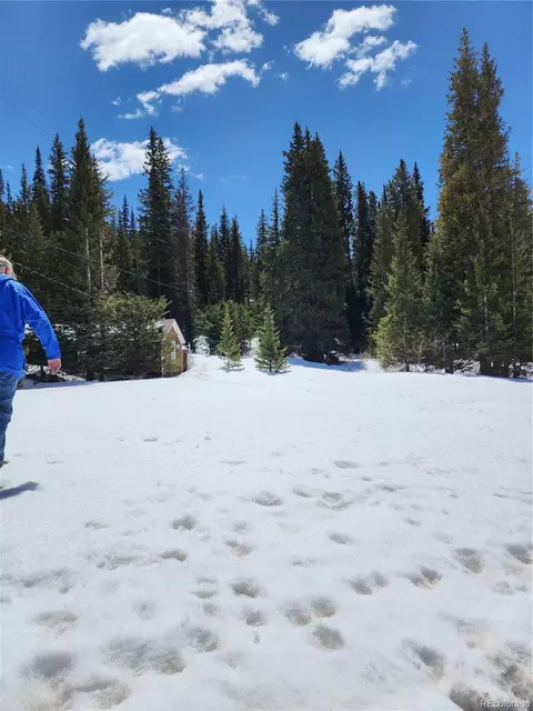 Montezuma Drive, Montezuma, CO 80435