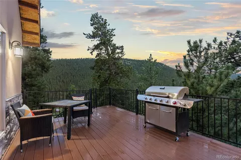 423 Gross Rd, Bailey, CO 80421 photo 7
