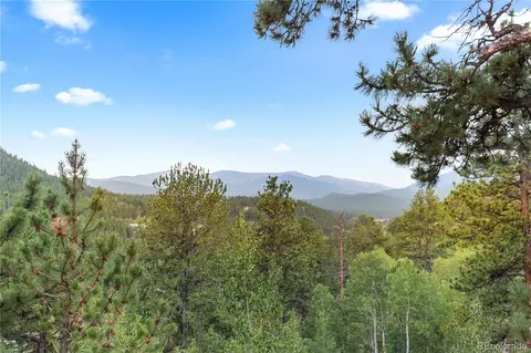 423 Gross Rd, Bailey, CO 80421 photo 44