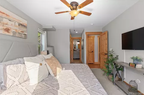 423 Gross Rd, Bailey, CO 80421 photo 30