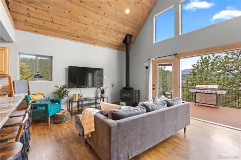 423 Gross Rd, Bailey, CO 80421 photo 10