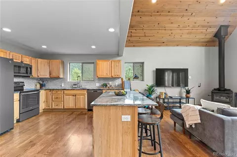 423 Gross Rd, Bailey, CO 80421 photo 16