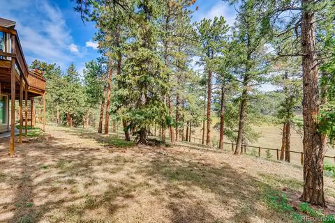 317 Conestoga Rd, Bailey, CO 80421 photo 34