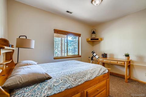 317 Conestoga Rd, Bailey, CO 80421 photo 25