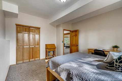 317 Conestoga Rd, Bailey, CO 80421 photo 24