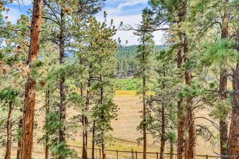 317 Conestoga Rd, Bailey, CO 80421 photo 39