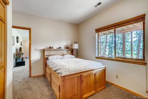 317 Conestoga Rd, Bailey, CO 80421 photo 26