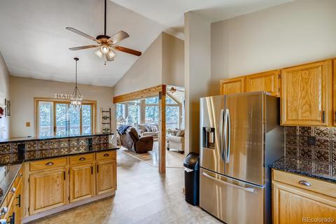 317 Conestoga Rd, Bailey, CO 80421 photo 9