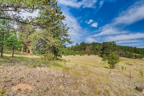 317 Conestoga Rd, Bailey, CO 80421 photo 40