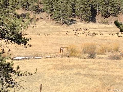 317 Conestoga Rd, Bailey, CO 80421 photo 38