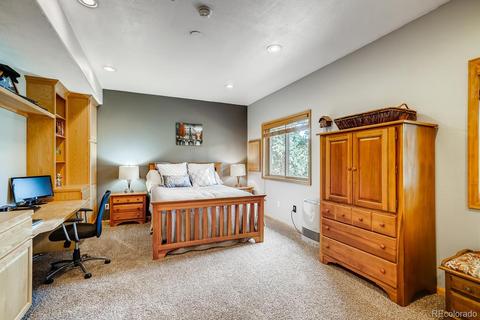 317 Conestoga Rd, Bailey, CO 80421 photo 27
