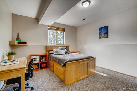 317 Conestoga Rd, Bailey, CO 80421 photo 23