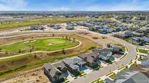 1647 Flourish Dr, Windsor, CO 80550 photo 25