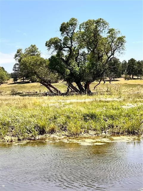County Road 102, Elbert, CO 80106 photo 36