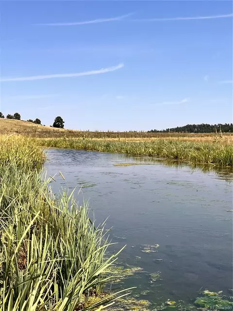 County Road 102, Elbert, CO 80106 photo 35