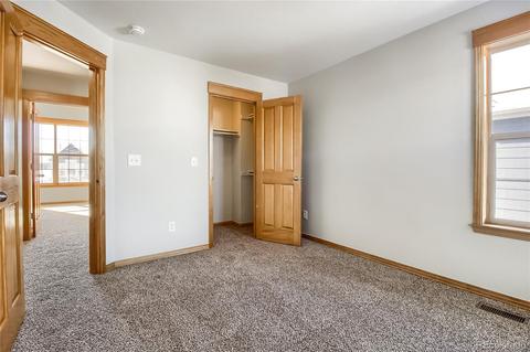 10087 E 31st Ave, Denver, CO 80238 photo 26