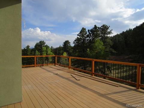 628 Lions Head Ranch Rd, Pine, CO 80470 photo 9