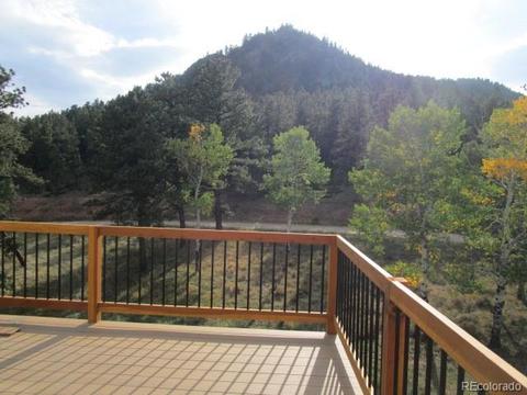 628 Lions Head Ranch Rd, Pine, CO 80470 photo 10
