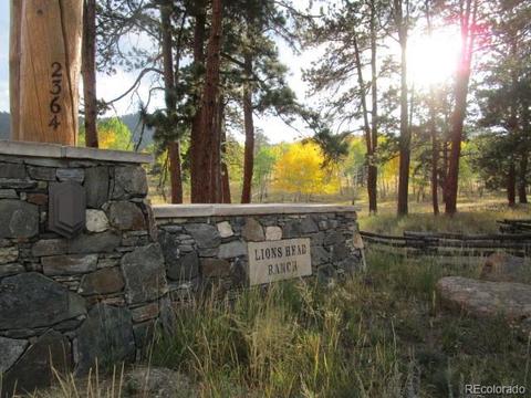 628 Lions Head Ranch Rd, Pine, CO 80470 photo 22